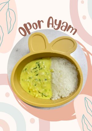 Foto resep Resep MPASI 10m+ - Opor Ayam
