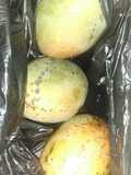 Mausse de mango