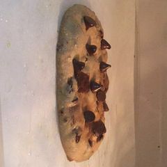 A picture of Microwave chocolate chip cookie.
