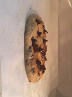 A picture of Microwave chocolate chip cookie.
