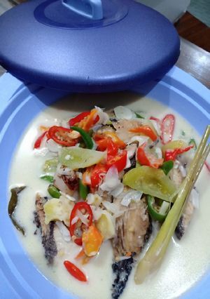 Foto resep Ikan tongkol cuek kuah santan