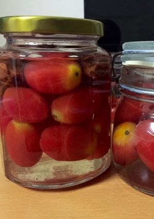 常備小菜～梅漬小蕃茄🍅 的食譜成品照片