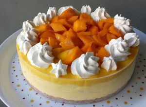 Foto resep Mango Mousse Cake
