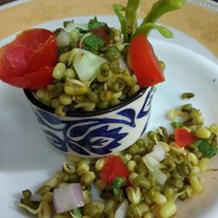 A picture of Protein packed sprouted moong beans.