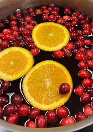 A picture of Tricia’s Warm Winter Wassail.
