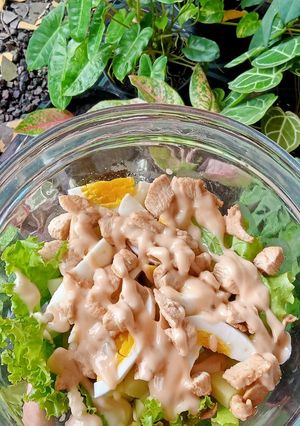 Foto resep Chicken salad simple