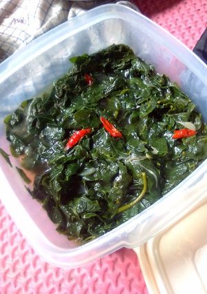 Foto resep Tumis daun katu mudah dan tanpa msg