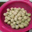 Cilok kenyal mpuk simpel mudah