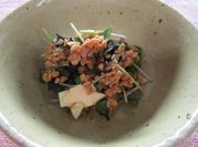 A picture of radish sprout