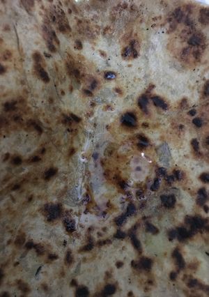 A picture of Stuff parantha.