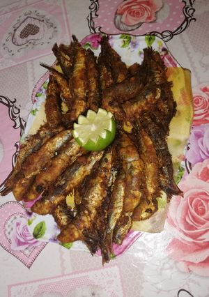 Une photo de Sardine