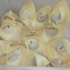 A picture of Chicken Wonton🥟.