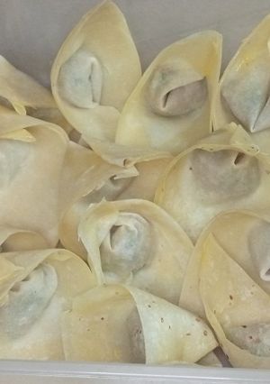 A picture of Chicken Wonton🥟.