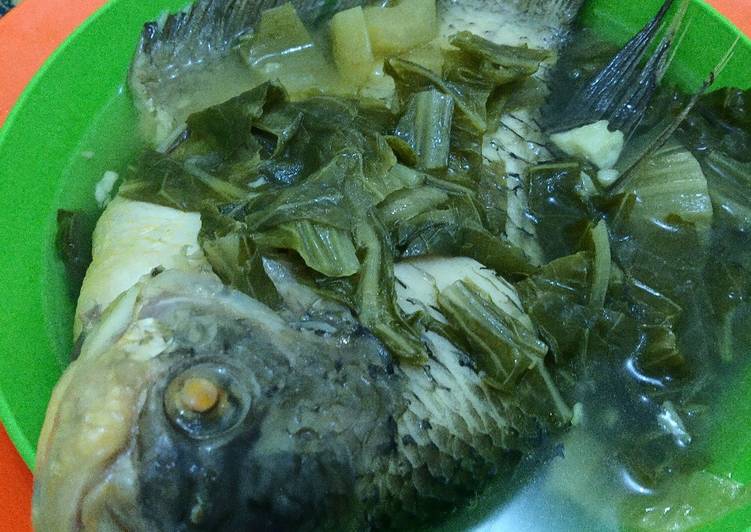 Cara Gampang Membuat Sup Ikan Gurami Sawi Asin, Menggugah Selera