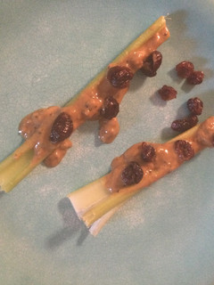 A picture of Ants on a Log.