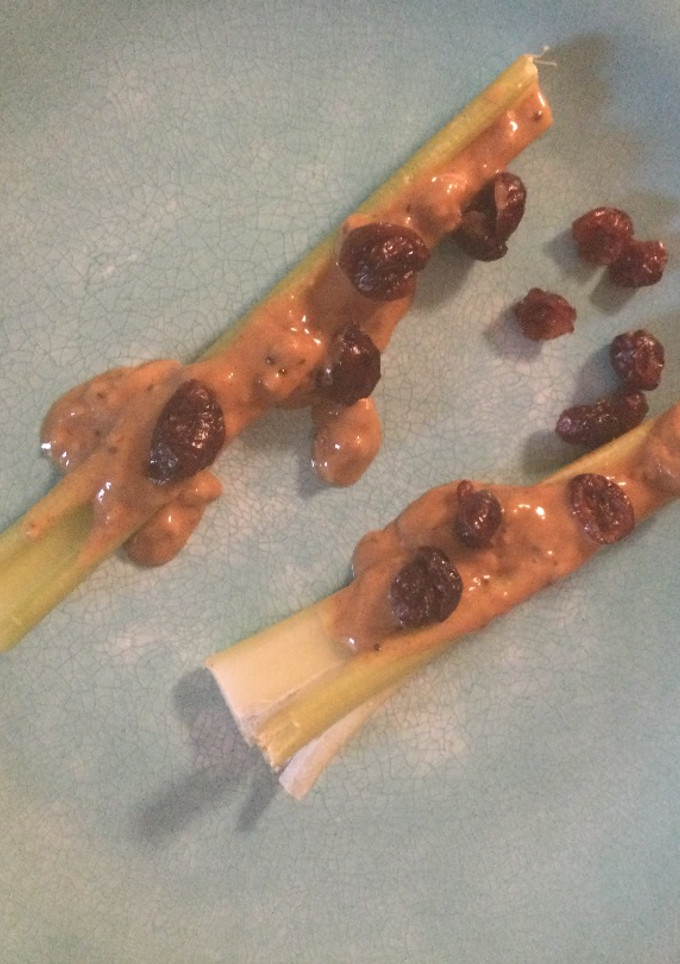 A picture of Ants on a Log.