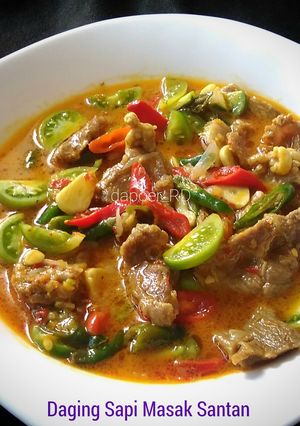 Foto resep Daging Sapi Masak Santan