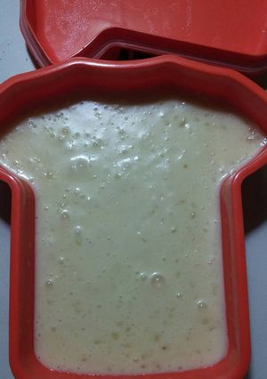 Foto resep Keju mozzarella KW KW