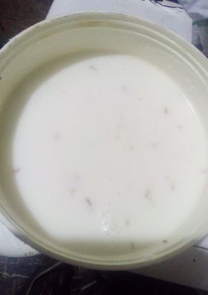 A picture of Zeera Raita.
