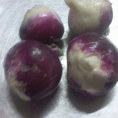 A picture of Salted turnip.