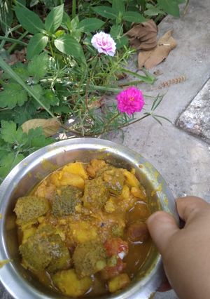 কাঁকরোল সব্জী ভেজিটেবল কারি (kankrol sabji vegetable curry recipe in Bengali) রেসিপির প্রধান ছবি