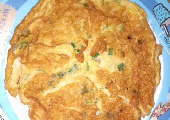 Resep Telur  Dadar  Daun Bawang  oleh Dapoer Lia s Cookpad