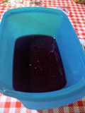 Sagu de jabuticaba