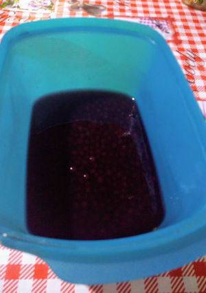 Foto de Sagu de jabuticaba