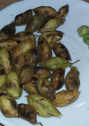 عکسی از دستور نخود بلر (بلال نخود)
