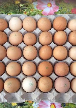 Une photo de 🥚L'Oeuf dans tous ses états ! 🍳
