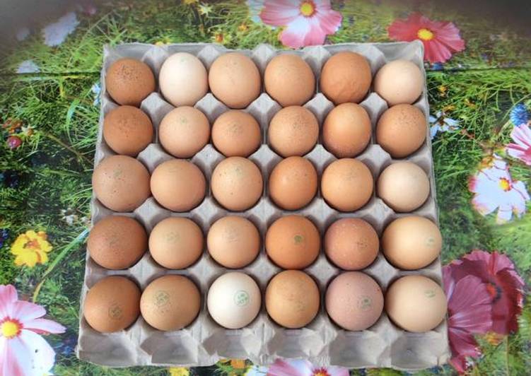 🥚L'Oeuf dans tous ses états ! 🍳