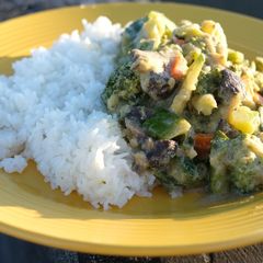 A picture of Thai green curry.