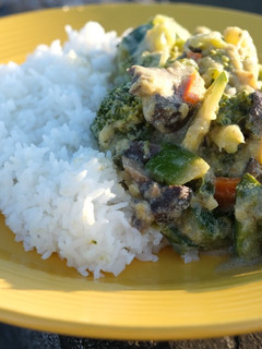 A picture of Thai green curry.
