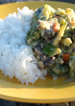 A picture of Thai green curry.