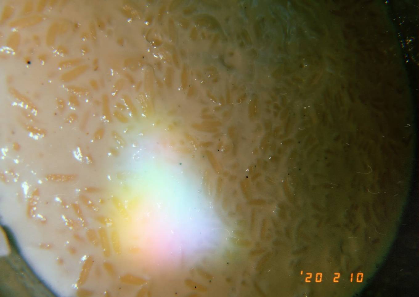 Arroz con leche
