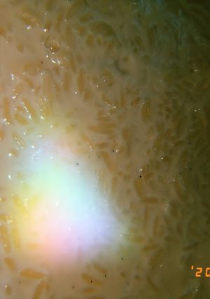 Una foto de Arroz con leche