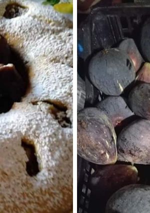 Foto di Ciambella di fichi bio