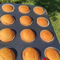 A picture of Vanilla cupcakes.