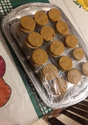 A picture of Chicken Shami Kabab.
