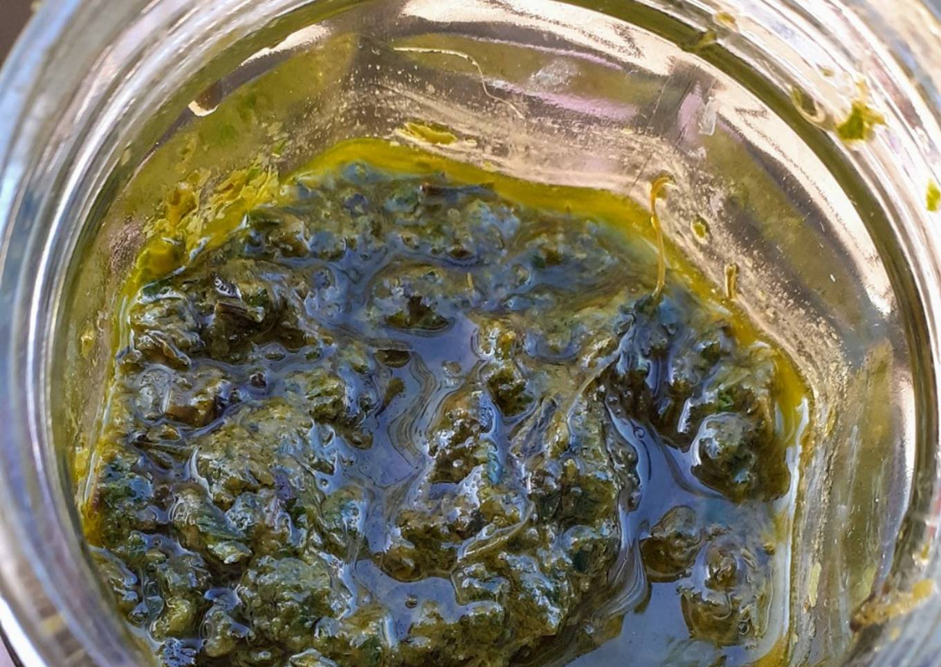 Tempero Caseiro Verde  com Talos de Salsa- Condimento Casero de Hierbas Verdes