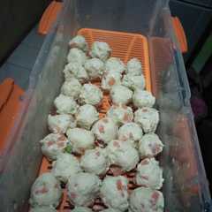 รูปของ Bakso Ayam Sehat dan Simple Pakai Blender (No MSG)