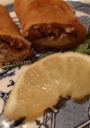 Une photo de Bourek viande hachée fromage à tartiner 🍋
