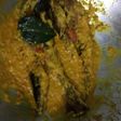Lele bumbu kuning mantabek