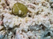 Una foto de sardina cebolla ensalada
