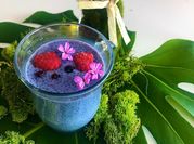 Une photo de chia pudding