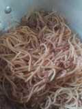 Pasta bolognesa