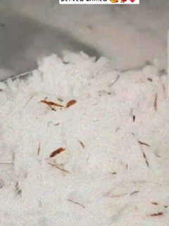 A picture of Coconut Drink🤤.