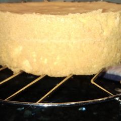 Vanilla spong cake A picture of Vanilla spong cake.