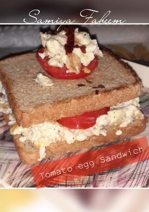 A picture of Tomato Mayo Egg Sandwich.