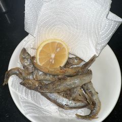 A picture of Perfect white bait - wow 👅👅👅.